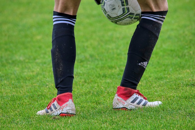 帮助勇士队 帮助勇士队