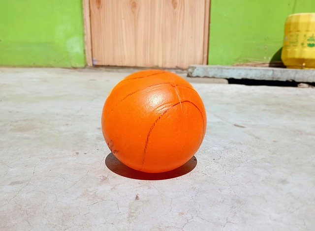 张伟豪本赛 张伟豪本赛