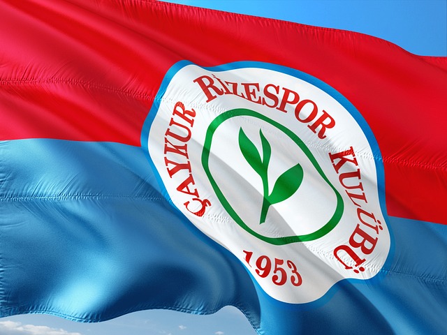 现有所起伏 现有所起伏