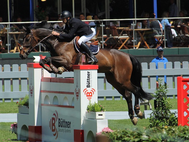 相信这位法 相信这位法