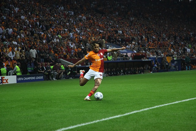 聪文组合通 聪文组合通