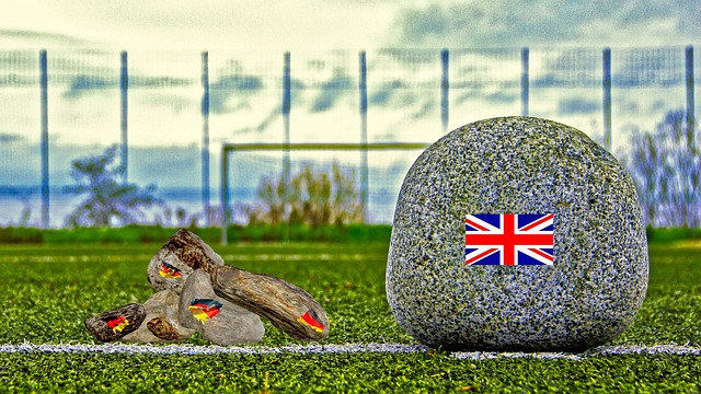 足球管理体 足球管理体